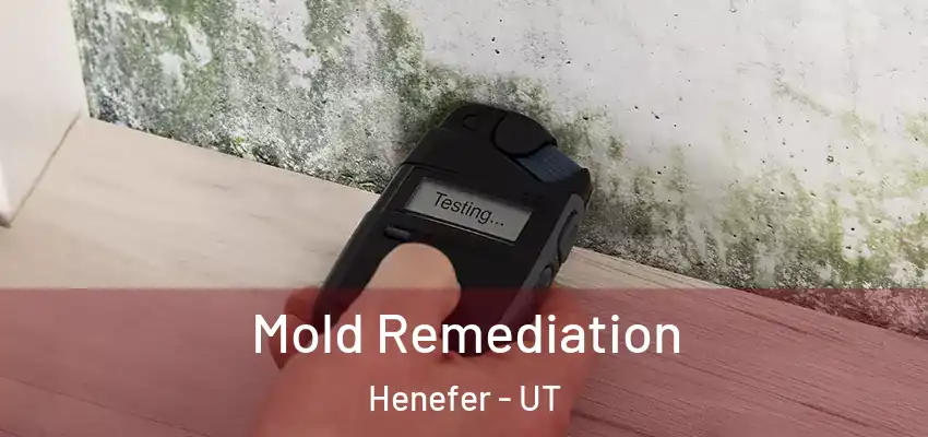  Mold Remediation Henefer - UT