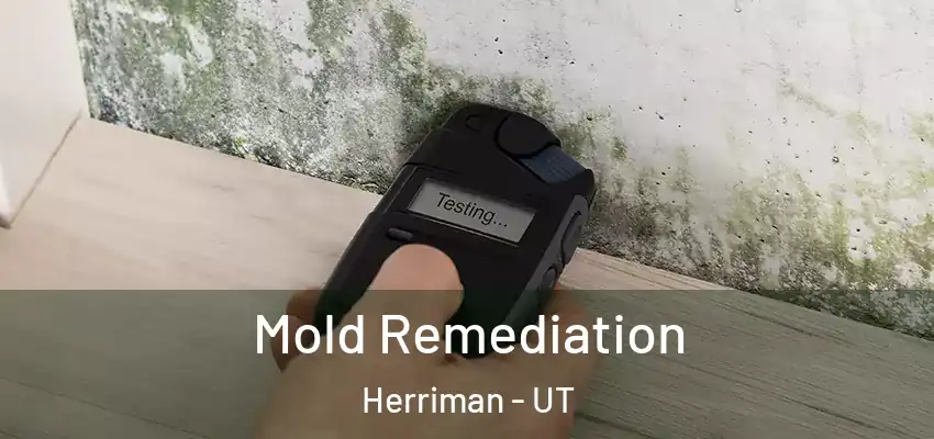 Mold Remediation Herriman - UT