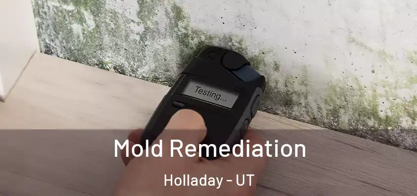  Mold Remediation Holladay - UT