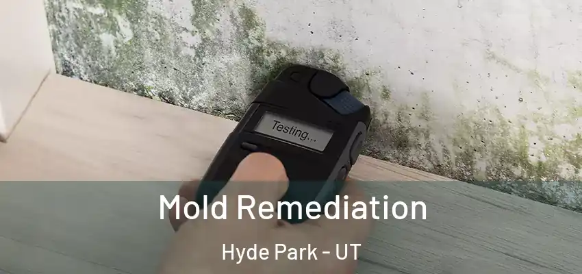  Mold Remediation Hyde Park - UT