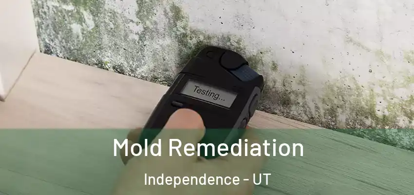  Mold Remediation Independence - UT