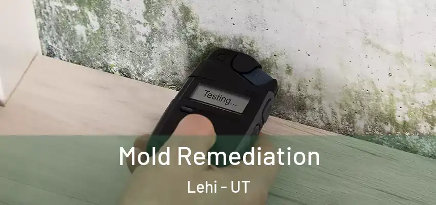 Mold Remediation Lehi - UT