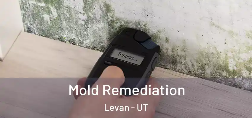 Mold Remediation Levan - UT