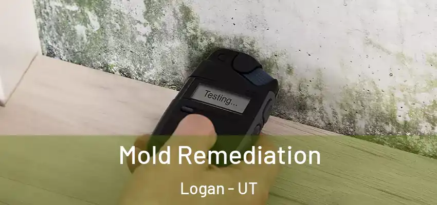  Mold Remediation Logan - UT