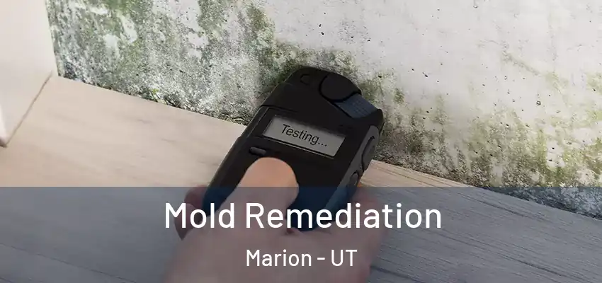 Mold Remediation Marion - UT