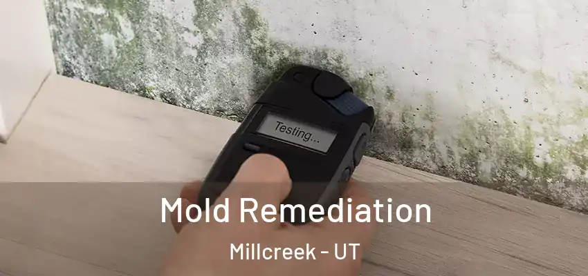  Mold Remediation Millcreek - UT