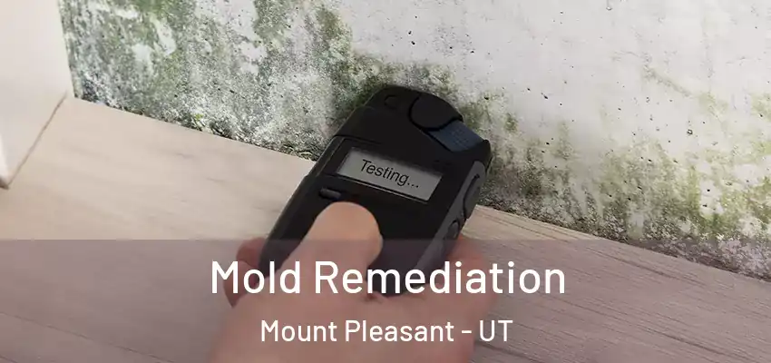 Mold Remediation Mount Pleasant - UT