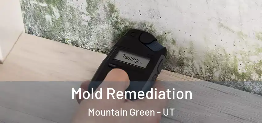  Mold Remediation Mountain Green - UT