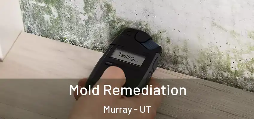 Mold Remediation Murray - UT