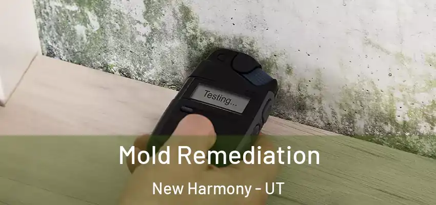  Mold Remediation New Harmony - UT