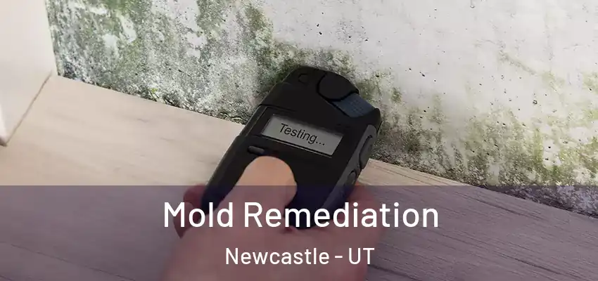 Mold Remediation Newcastle - UT
