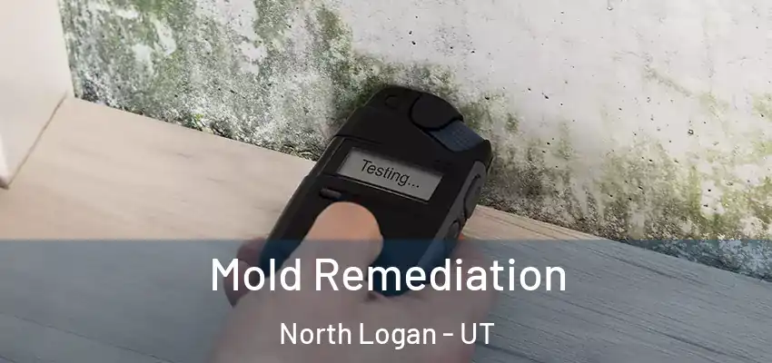  Mold Remediation North Logan - UT
