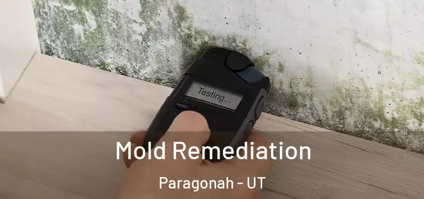  Mold Remediation Paragonah - UT