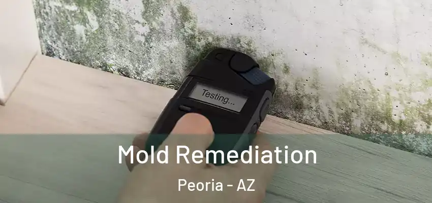  Mold Remediation Peoria - AZ