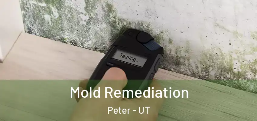  Mold Remediation Peter - UT
