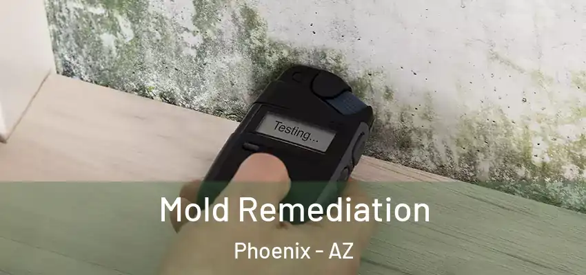Mold Remediation Phoenix - AZ