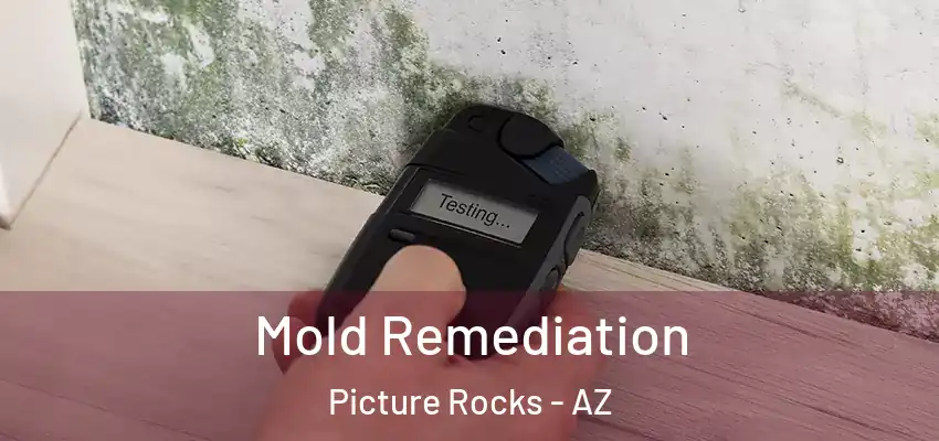 Mold Remediation Picture Rocks - AZ