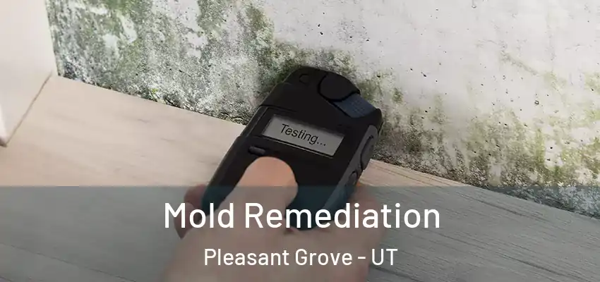  Mold Remediation Pleasant Grove - UT