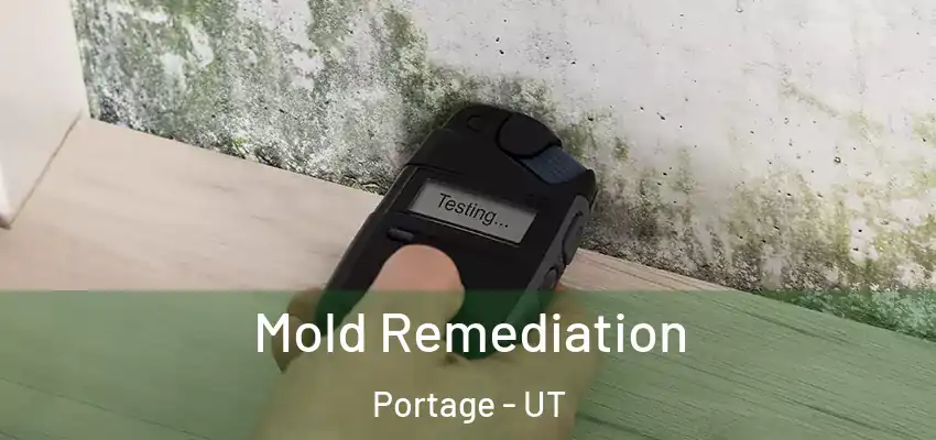  Mold Remediation Portage - UT