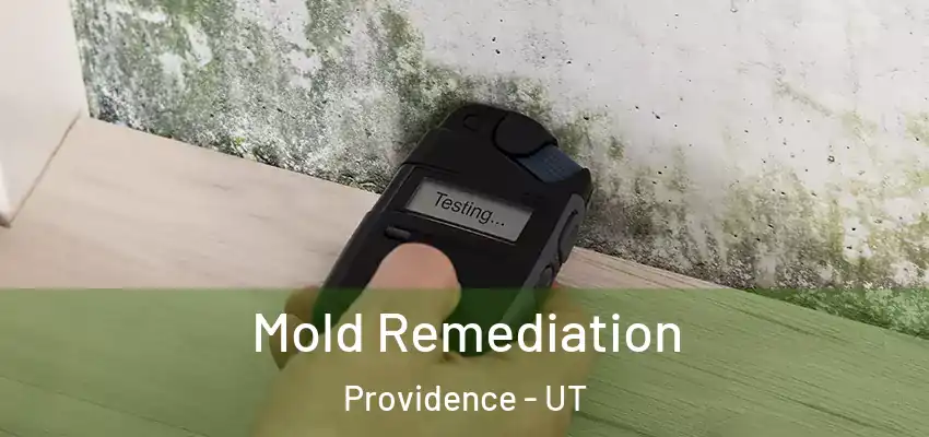  Mold Remediation Providence - UT