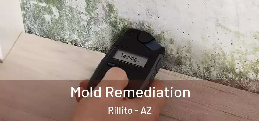  Mold Remediation Rillito - AZ