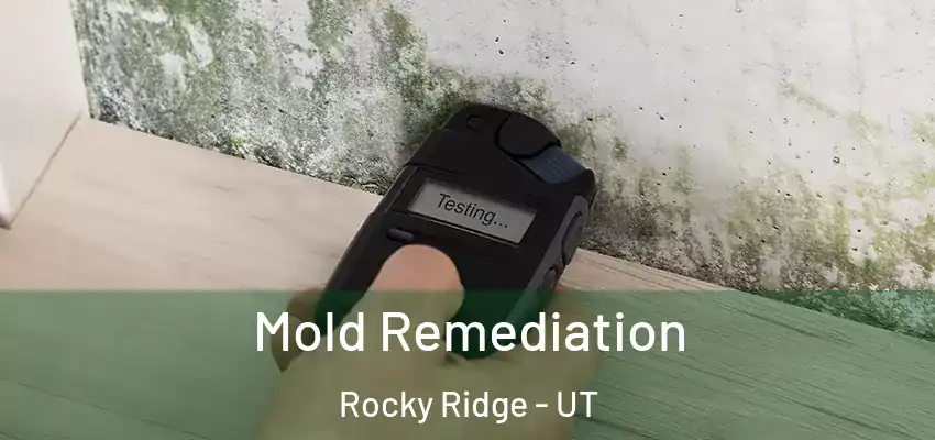  Mold Remediation Rocky Ridge - UT