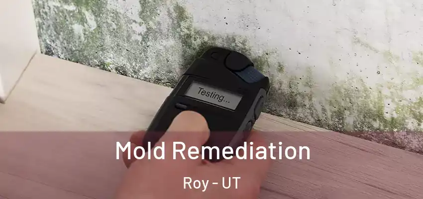  Mold Remediation Roy - UT