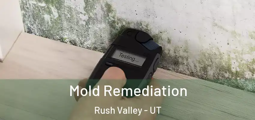  Mold Remediation Rush Valley - UT