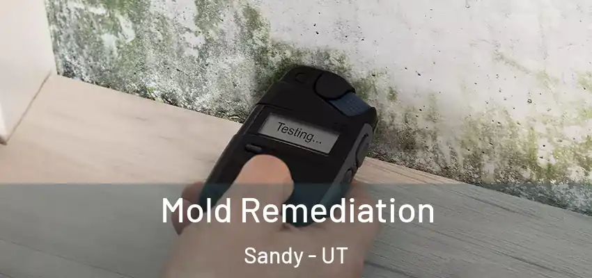 Mold Remediation Sandy - UT