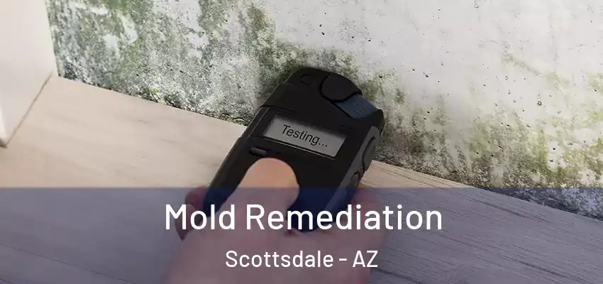 Mold Remediation Scottsdale - AZ