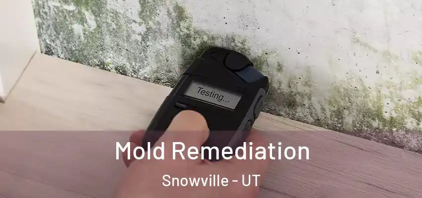  Mold Remediation Snowville - UT