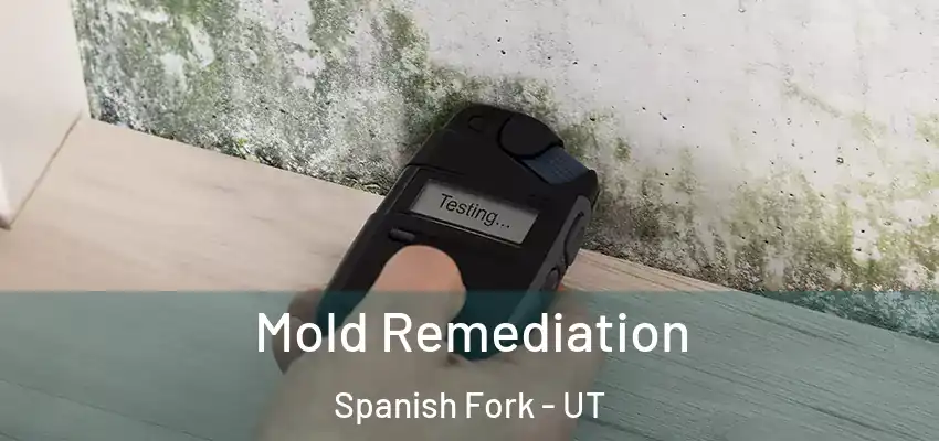  Mold Remediation Spanish Fork - UT