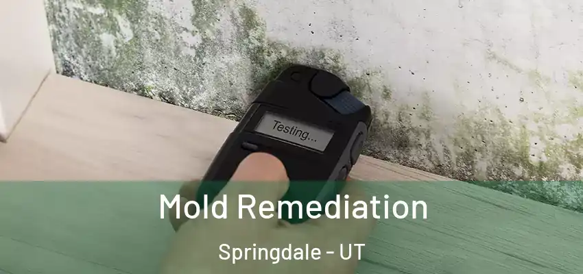  Mold Remediation Springdale - UT