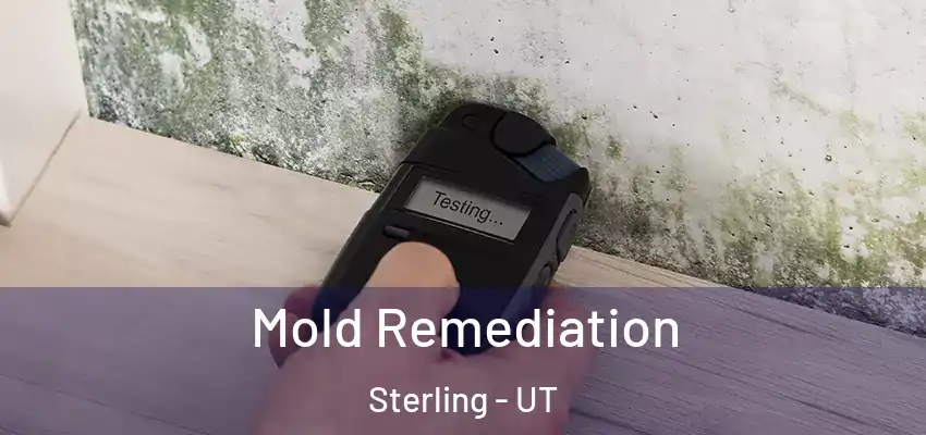  Mold Remediation Sterling - UT