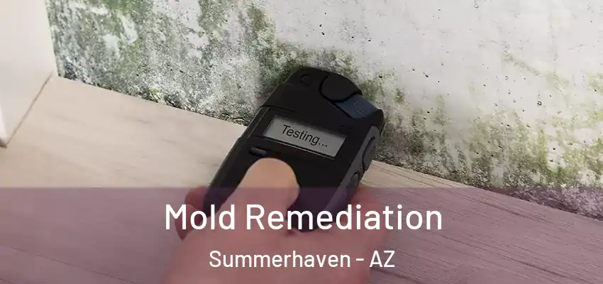  Mold Remediation Summerhaven - AZ