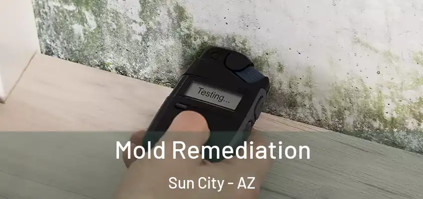 Mold Remediation Sun City - AZ