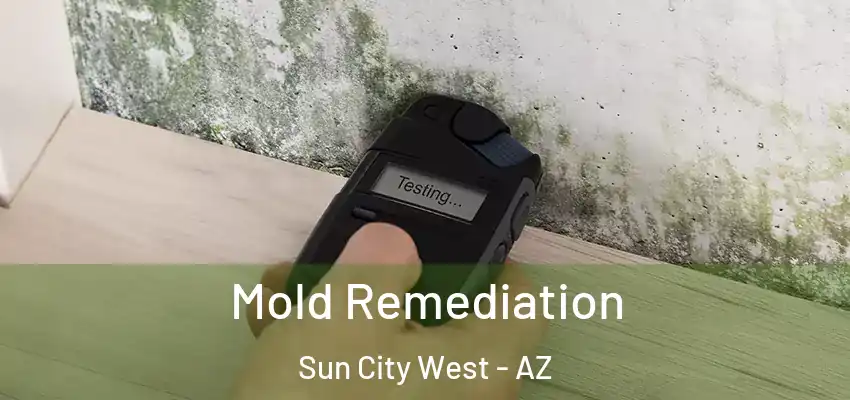  Mold Remediation Sun City West - AZ