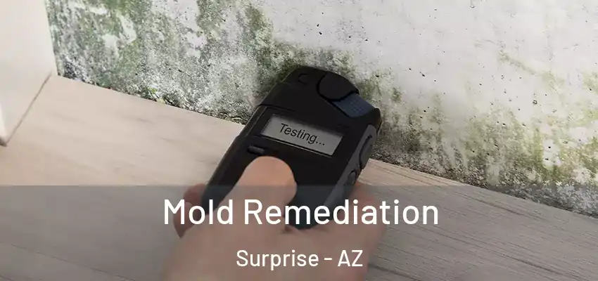 Mold Remediation Surprise - AZ