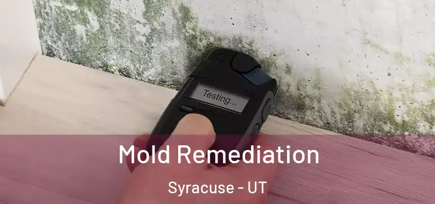  Mold Remediation Syracuse - UT