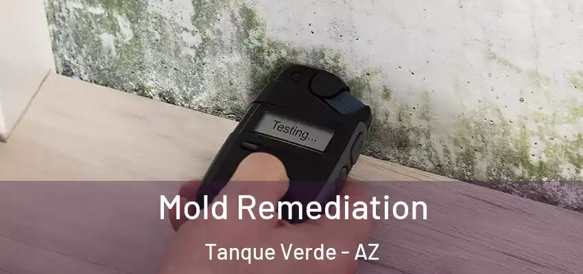Mold Remediation Tanque Verde - AZ