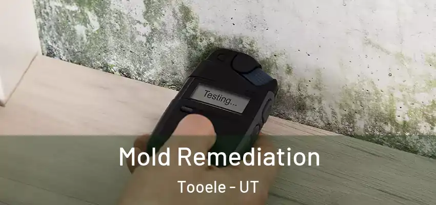  Mold Remediation Tooele - UT