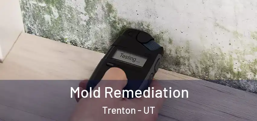  Mold Remediation Trenton - UT