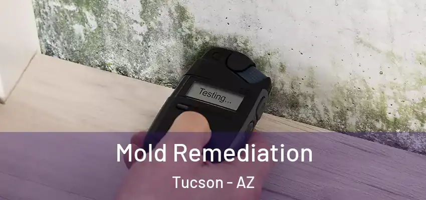 Mold Remediation Tucson - AZ