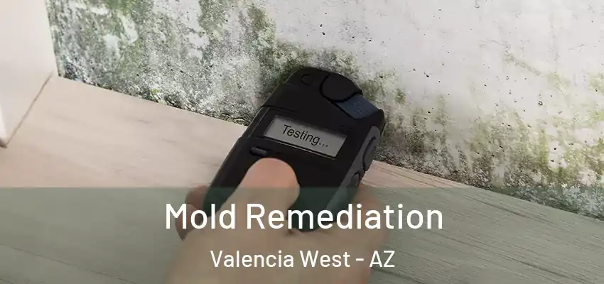 Mold Remediation Valencia West - AZ