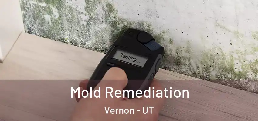  Mold Remediation Vernon - UT
