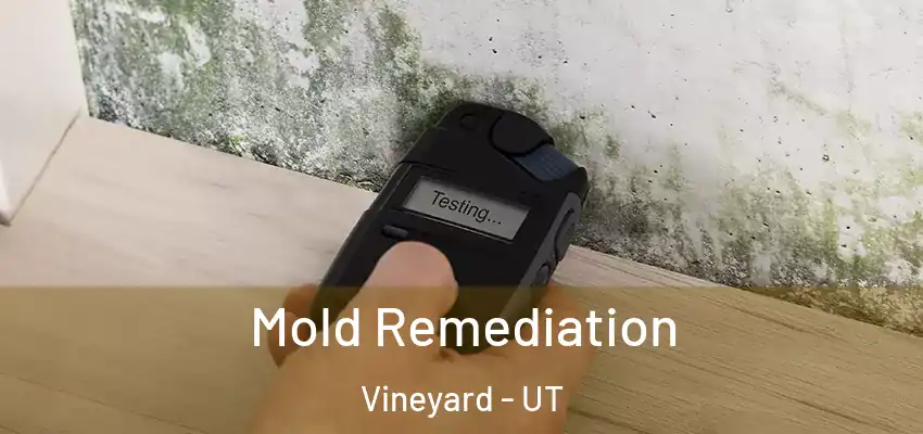 Mold Remediation Vineyard - UT