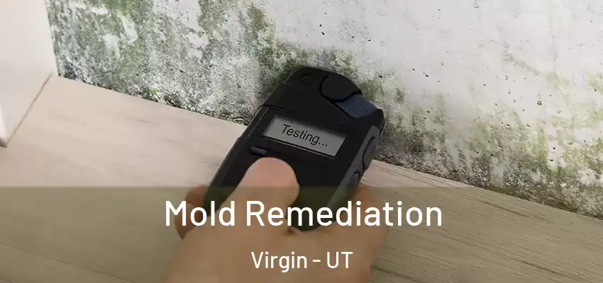 Mold Remediation Virgin - UT