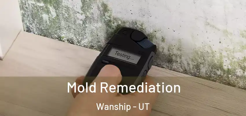 Mold Remediation Wanship - UT