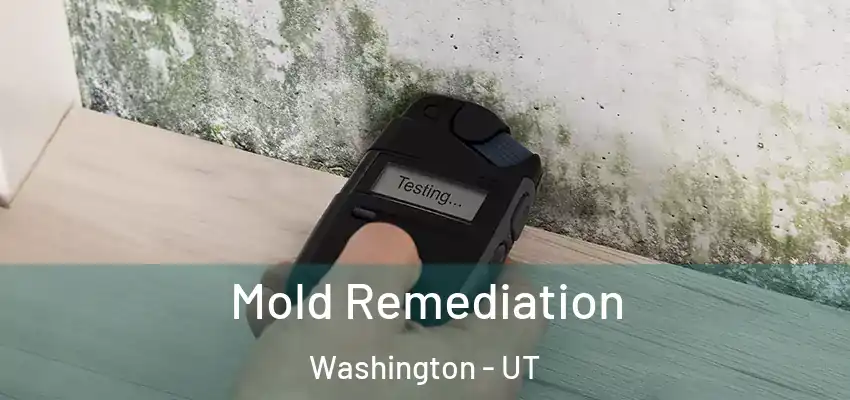 Mold Remediation Washington - UT