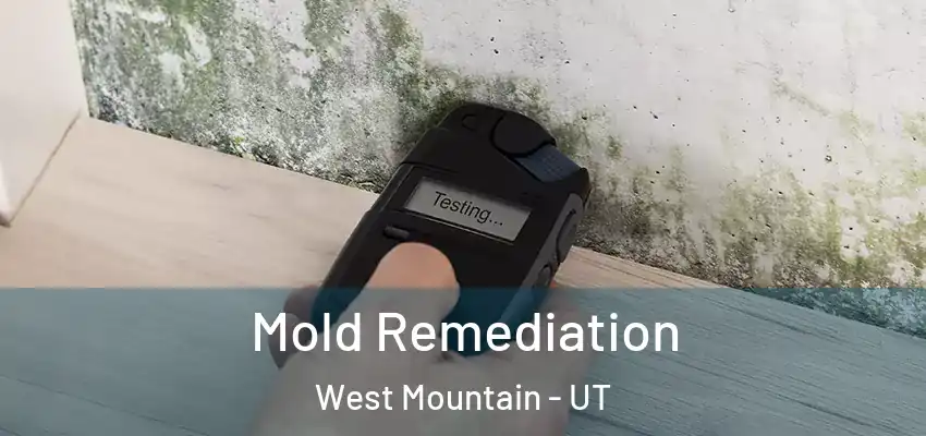  Mold Remediation West Mountain - UT